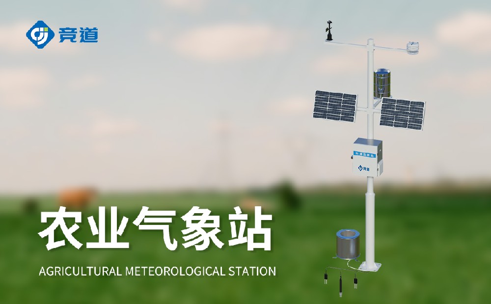 ũ���Զ�����վ����ʳ�����������ܹ�������Щ����