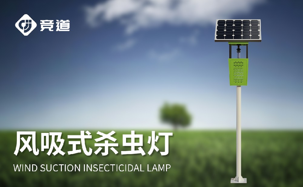 ����ʽ̫����ɱ���