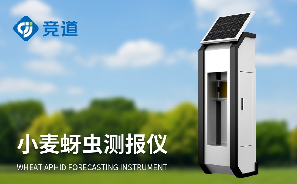 С���������ǵĹ�Ч�����ý���