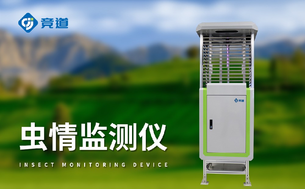 ������վ